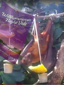 Willkommen in Nightvale